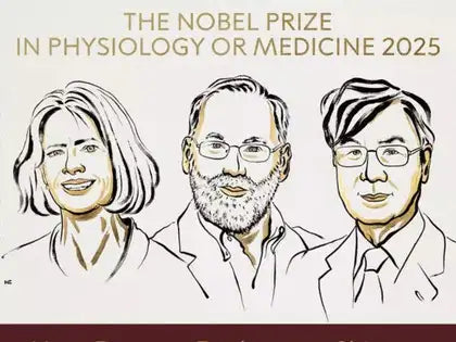 2025 Nobel Prize Honors Key Discovery in Immune System Balance