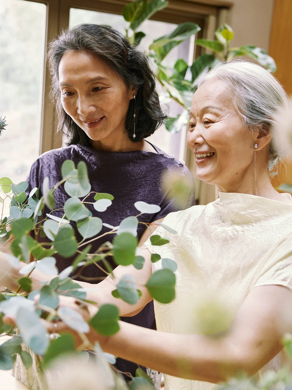 t-cell activator provide healthy aging